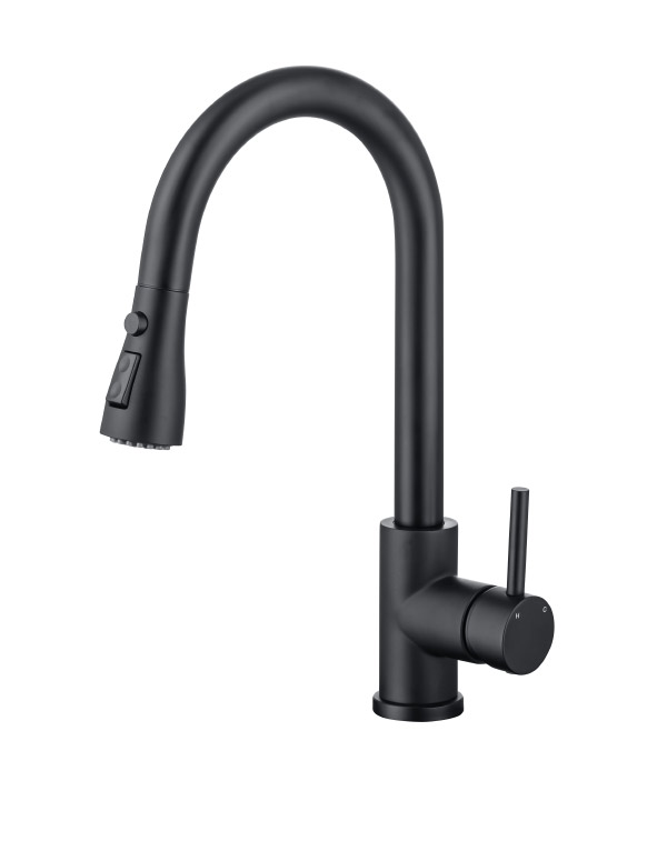 Stainless steel kitchen faucet