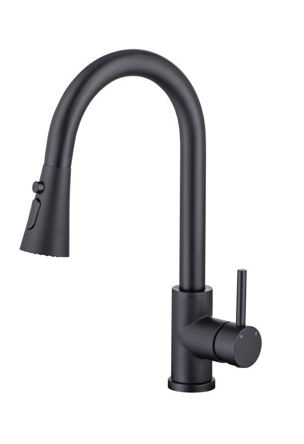 Stainless steel kitchen faucet