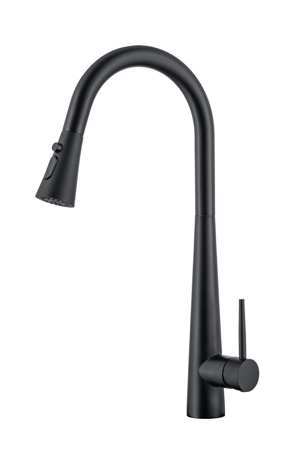 Stainless steel kitchen faucet