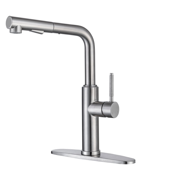 Stainless steel kitchen faucet