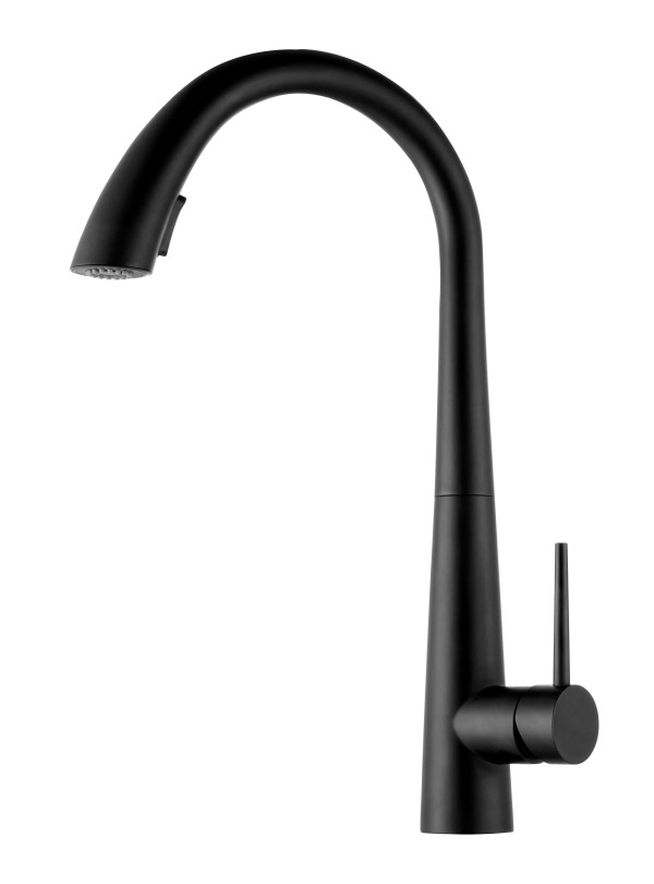 Stainless steel kitchen faucet