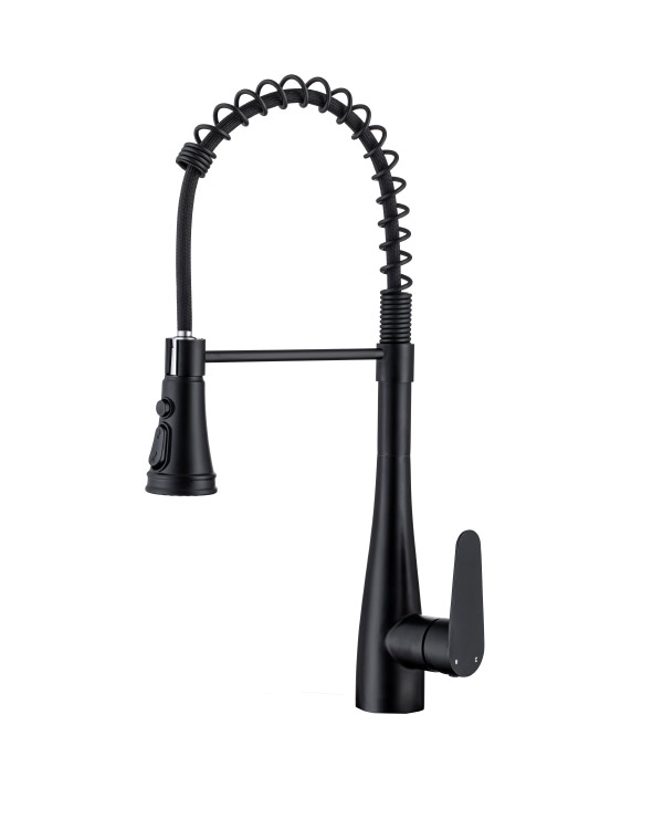 Stainless steel kitchen faucet